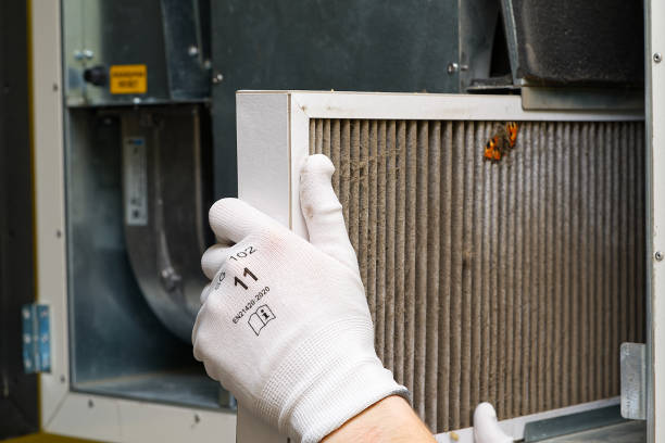 Best Residential Air Duct Cleaning  in Port Gibson, MS