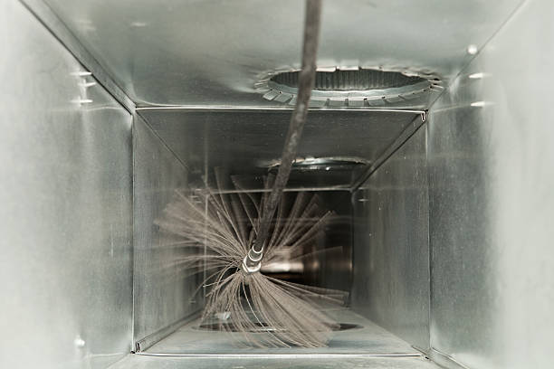 Best Professional Duct Cleaning Services  in Port Gibson, MS